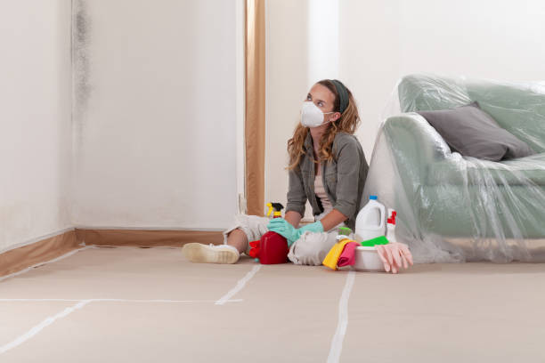 Reliable Mold Cleanup contractor in Spring Lake, MI by WQB Mold Removal